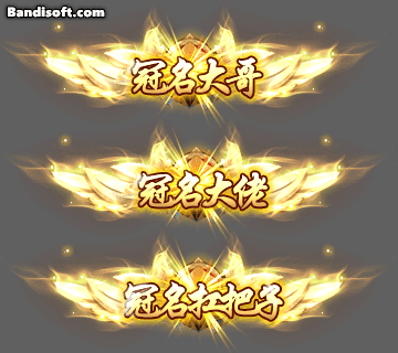 冠名称号-155